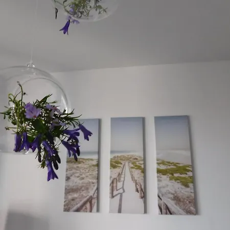 Centrum/starowka Appartement *