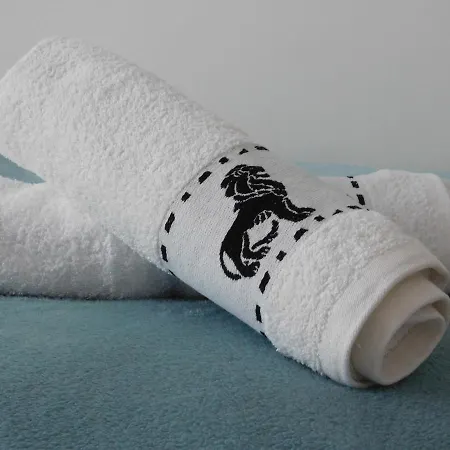 Apartament Centrum/starówka