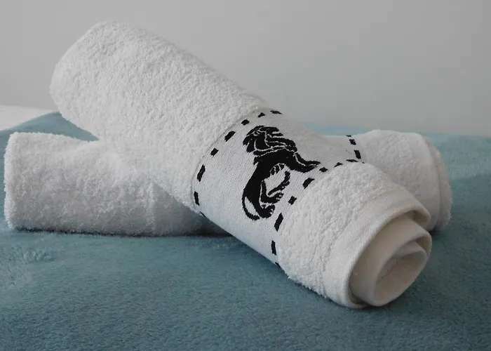 アパート Centrum/starowka